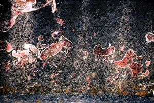 WS Walls - 07.jpg